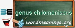 WordMeaning blackboard for genus chilomeniscus